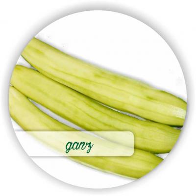 Gurken geschält Ganz